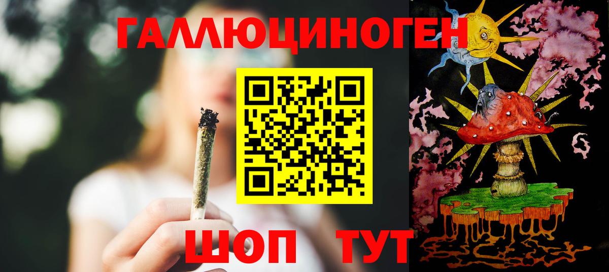 Псилоцибиновые грибы Psilocybe  где можно купить   Сунжа  Вход с VPN 