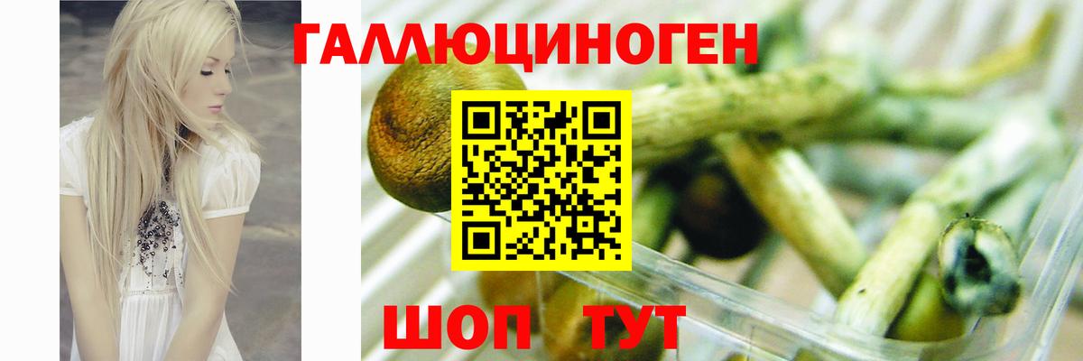 МЕФ Сунжа