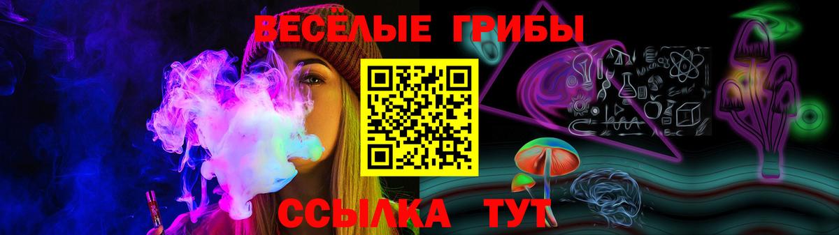 Псилоцибиновые грибы Psilocybe Сунжа