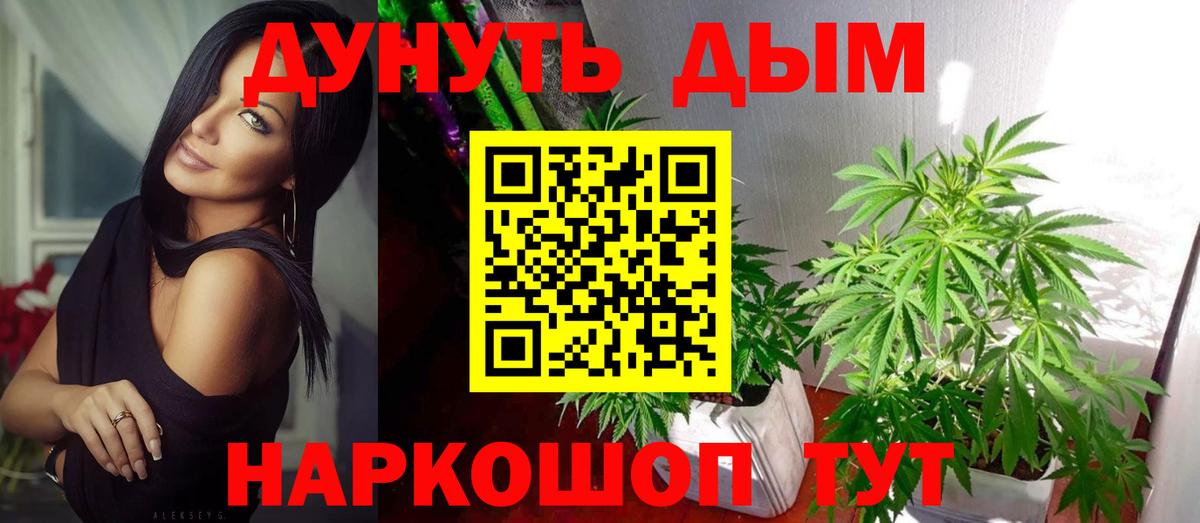 Конопля планчик Сунжа